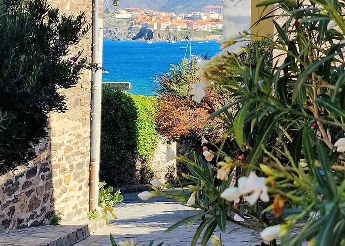 2terimp204 T2 Neuf Avec Terrasse Climatisation Et Parking Apartman Collioure