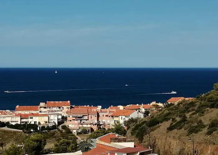 2terimp204 T2 Neuf Avec Terrasse Climatisation Et Parking Collioure
